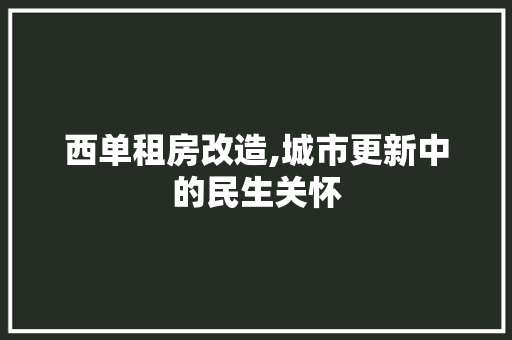 西单租房改造,城市更新中的民生关怀
