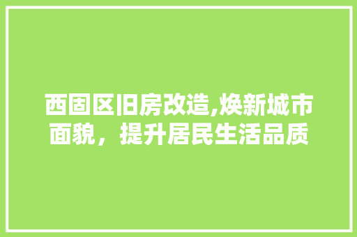 西固区旧房改造,焕新城市面貌，提升居民生活品质