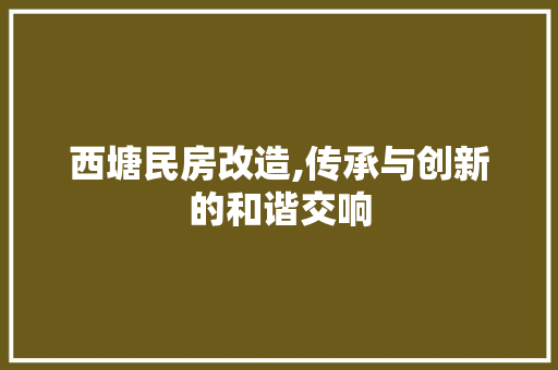 西塘民房改造,传承与创新的和谐交响 隔断设计