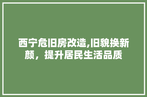 西宁危旧房改造,旧貌换新颜，提升居民生活品质