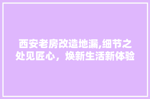 西安老房改造地漏,细节之处见匠心，焕新生活新体验