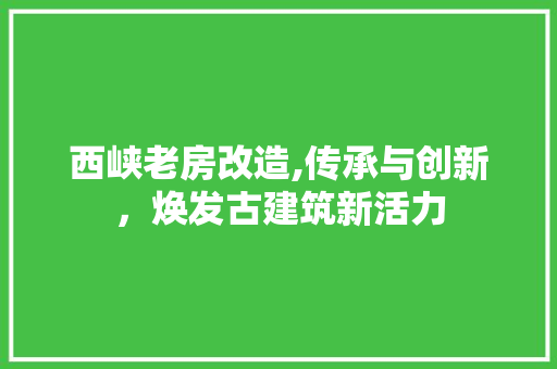 西峡老房改造,传承与创新,焕发古建筑新活力