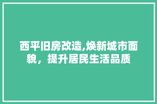 西平旧房改造,焕新城市面貌，提升居民生活品质
