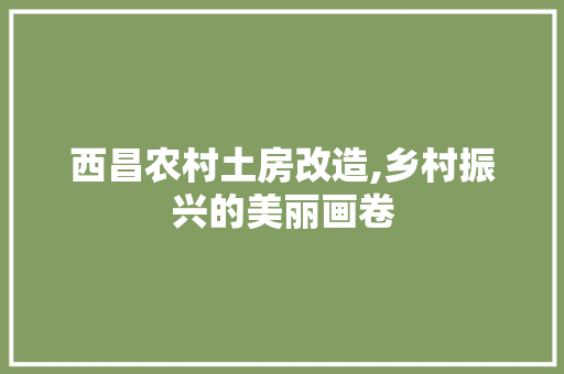 西昌农村土房改造,乡村振兴的美丽画卷