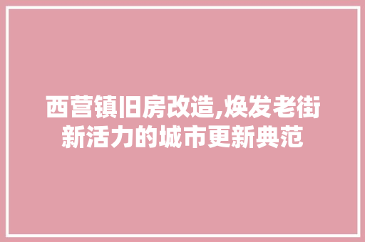西营镇旧房改造,焕发老街新活力的城市更新典范
