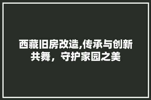 西藏旧房改造,传承与创新共舞，守护家园之美 景观设计
