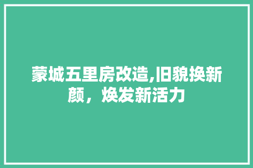 蒙城五里房改造,旧貌换新颜，焕发新活力