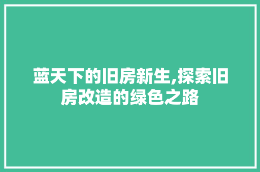 蓝天下的旧房新生,探索旧房改造的绿色之路 隔断设计