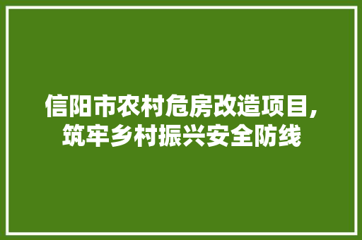 信阳市农村危房改造项目,筑牢乡村振兴安全防线 墙面装饰