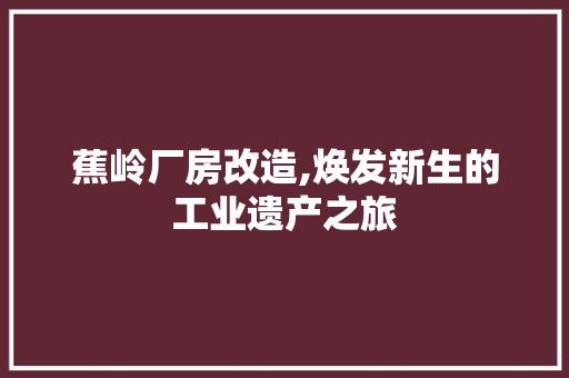 蕉岭厂房改造,焕发新生的工业遗产之旅