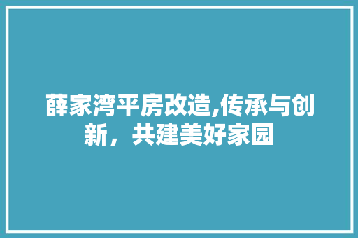 薛家湾平房改造,传承与创新，共建美好家园 建筑设计