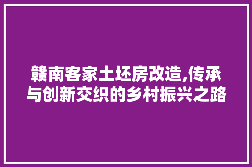 赣南客家土坯房改造,传承与创新交织的乡村振兴之路