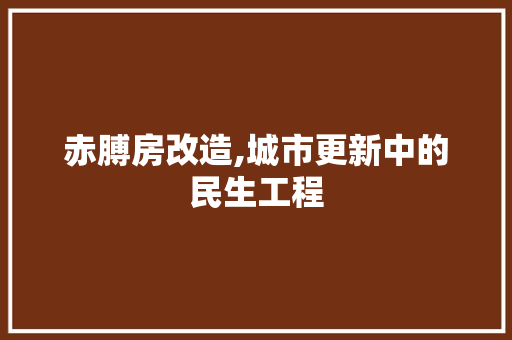 赤膊房改造,城市更新中的民生工程