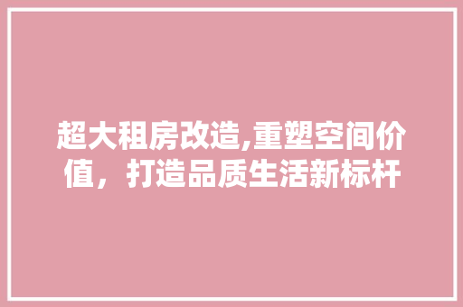 超大租房改造,重塑空间价值，打造品质生活新标杆