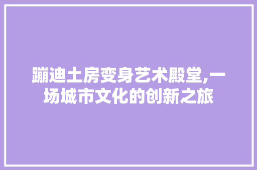 蹦迪土房变身艺术殿堂,一场城市文化的创新之旅 装修材料