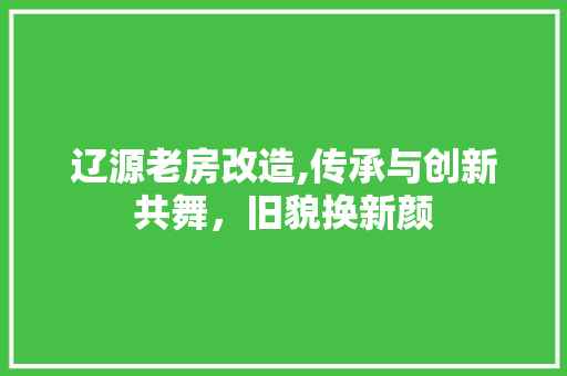 辽源老房改造,传承与创新共舞，旧貌换新颜