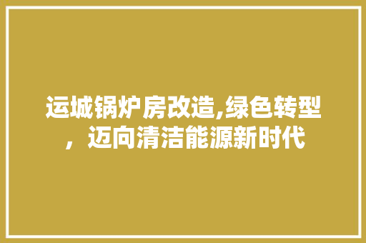 运城锅炉房改造,绿色转型，迈向清洁能源新时代