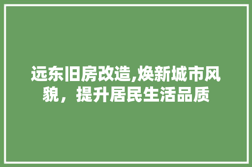 远东旧房改造,焕新城市风貌，提升居民生活品质 建筑设计