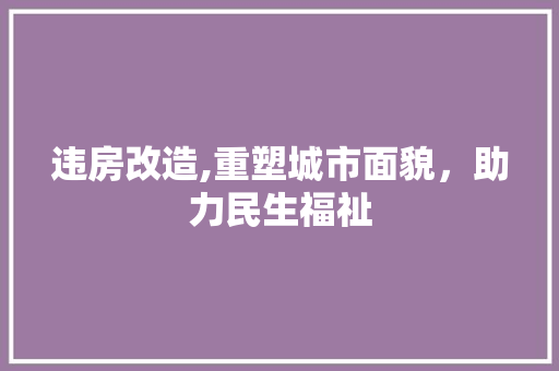 违房改造,重塑城市面貌，助力民生福祉