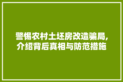 警惕农村土坯房改造骗局,介绍背后真相与防范措施