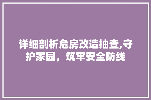 详细剖析危房改造抽查,守护家园，筑牢安全防线
