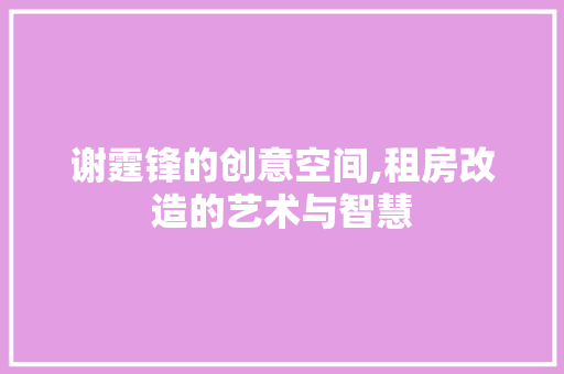 谢霆锋的创意空间,租房改造的艺术与智慧