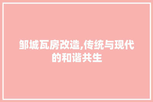 邹城瓦房改造,传统与现代的和谐共生
