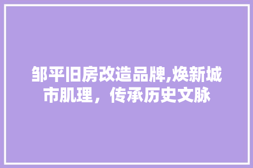 邹平旧房改造品牌,焕新城市肌理，传承历史文脉