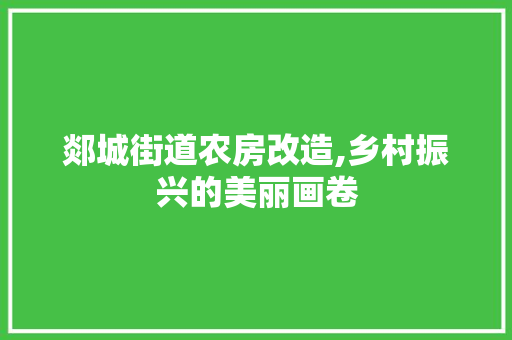 郯城街道农房改造,乡村振兴的美丽画卷 门窗装修