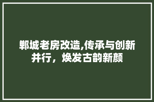 郸城老房改造,传承与创新并行，焕发古韵新颜