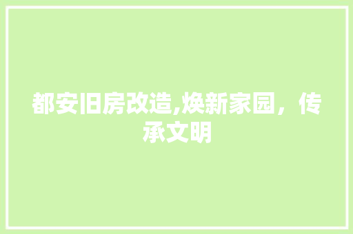 都安旧房改造,焕新家园，传承文明 墙面装饰