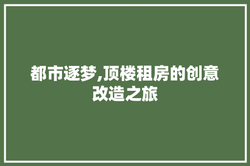 都市逐梦,顶楼租房的创意改造之旅 门窗装修 都市逐梦,顶楼租房的创意改造之旅 门窗装修