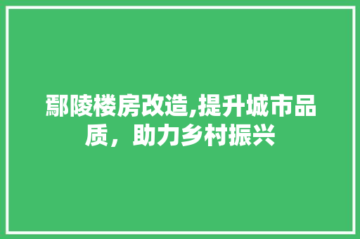 鄢陵楼房改造,提升城市品质，助力乡村振兴