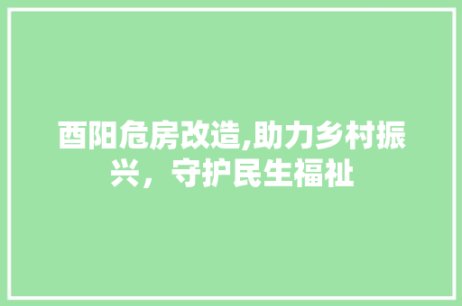 酉阳危房改造,助力乡村振兴，守护民生福祉 建筑设计