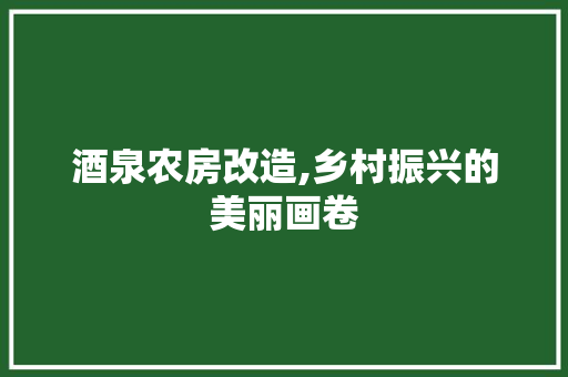 酒泉农房改造,乡村振兴的美丽画卷 地面装修