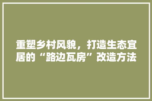 重塑乡村风貌，打造生态宜居的“路边瓦房”改造方法