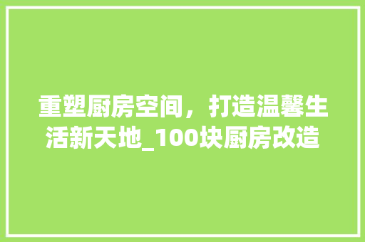 重塑厨房空间，打造温馨生活新天地_100块厨房改造攻略