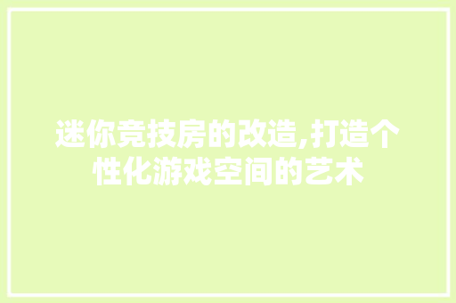 迷你竞技房的改造,打造个性化游戏空间的艺术