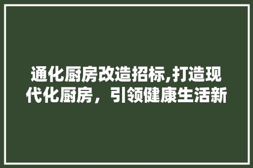 通化厨房改造招标,打造现代化厨房，引领健康生活新风尚