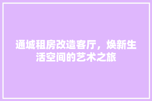 通城租房改造客厅，焕新生活空间的艺术之旅