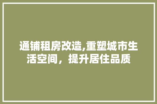 通铺租房改造,重塑城市生活空间，提升居住品质