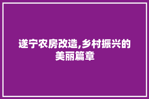 遂宁农房改造,乡村振兴的美丽篇章