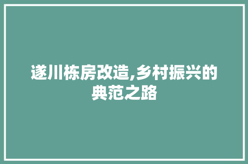 遂川栋房改造,乡村振兴的典范之路