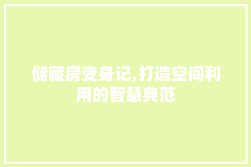 储藏房变身记,打造空间利用的智慧典范 景观设计