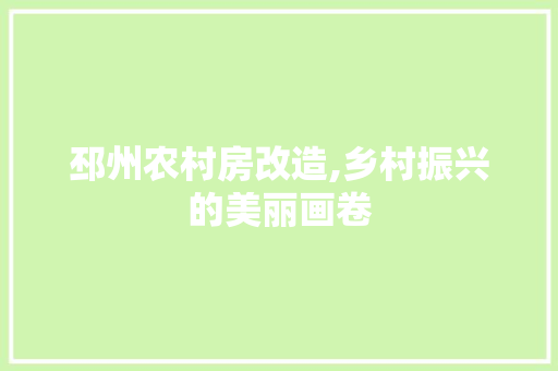 邳州农村房改造,乡村振兴的美丽画卷