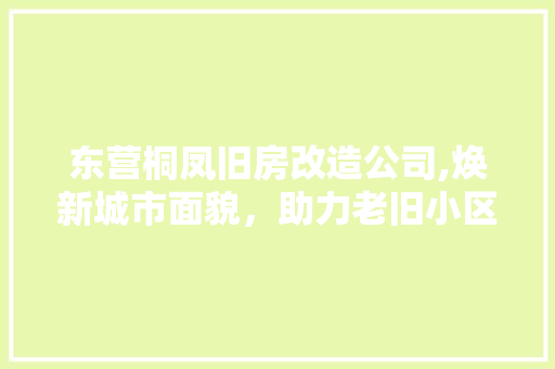 东营桐凤旧房改造公司,焕新城市面貌，助力老旧小区蝶变