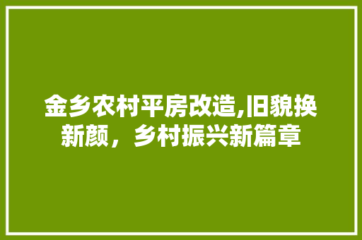 金乡农村平房改造,旧貌换新颜，乡村振兴新篇章 地面装修