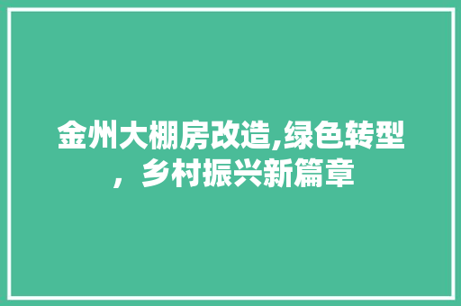 金州大棚房改造,绿色转型，乡村振兴新篇章