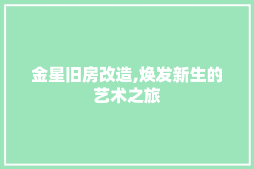 金星旧房改造,焕发新生的艺术之旅