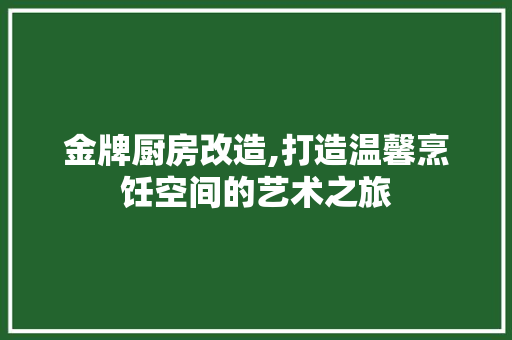 金牌厨房改造,打造温馨烹饪空间的艺术之旅 装修材料